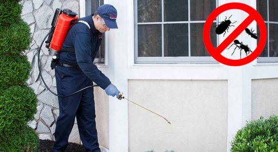 Koyulhisar Gümüşkurt İlaçlama böcek ilaçlama ve haşere kontrolü — ilaclama-tr.com